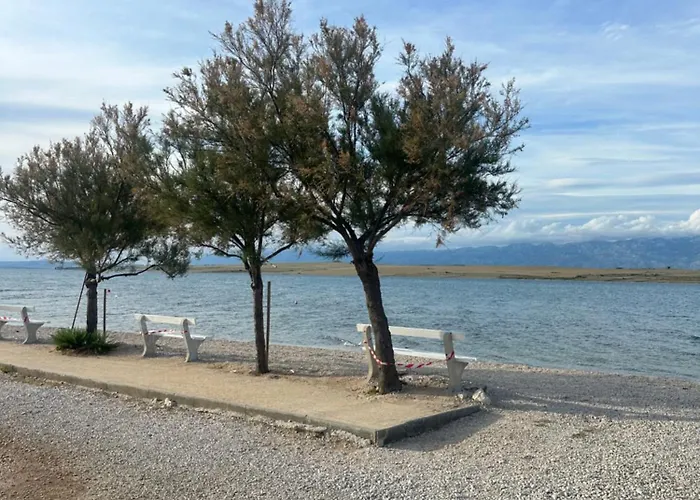 La Deluxe- Silver & Black