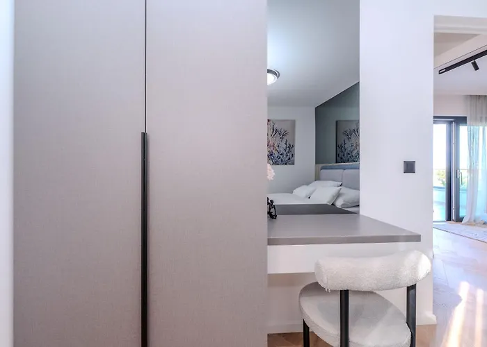 La Deluxe- Silver & Black *